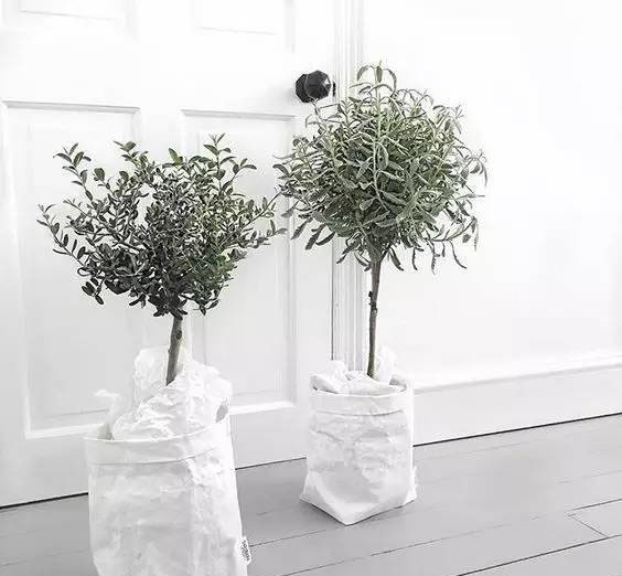 印刷禮品袋定做-廣州駿業包裝實業有限公司 印刷禮品袋定做